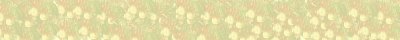 Banner 24