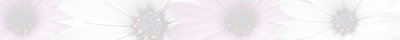 Banner 3