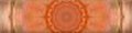 Button 16