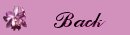 Back Button