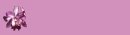 Blank Button