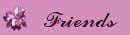Friends Button