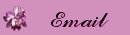 Email Button