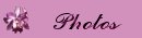 Photos Button