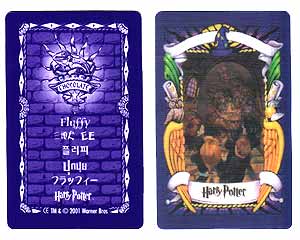 Hedwig Chocolate frog card Harry Potter
