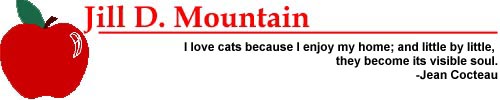 Cats Header