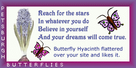 Thanks to the Hyacinth Buttherfly!