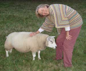 Sundey Fantasy (Fat Pet) - my favourite ewe