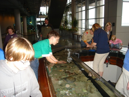 trip to aquarium