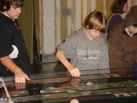 Trip to Aquarium