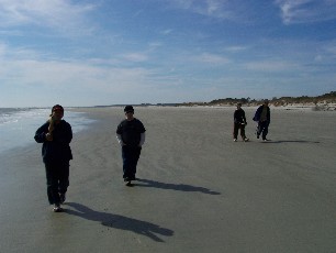 We had literally miles of pristine beach to ourselves....too bad it was winter.