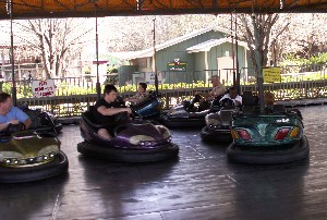 Bumper Cars