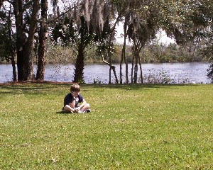 Beautiful Lawn, Peaceful River, and the cell phone curse