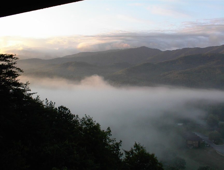 Morning Fog