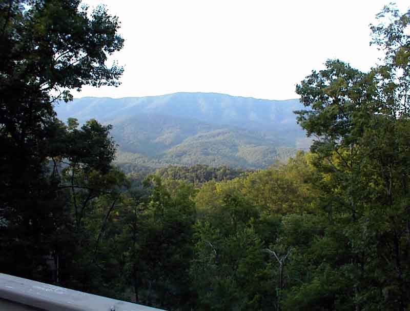 View from Woodheaven Deck