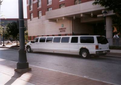 honey5.jpg