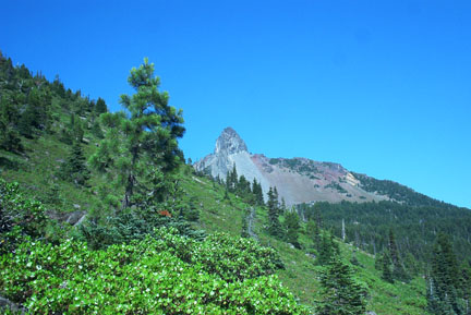 Mount Washington in the distance.
