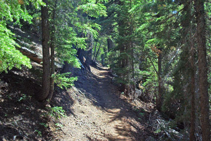Typical trail condition.