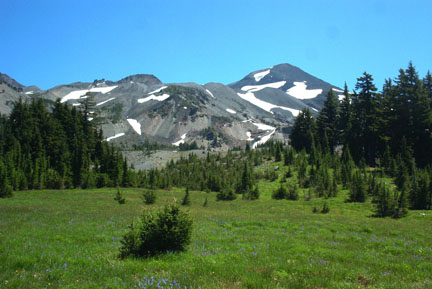 Near the tree line.