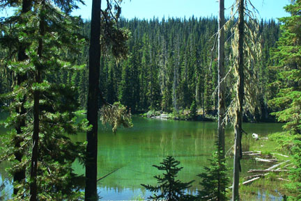 Nice to see water.