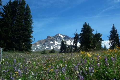Mount Hood was usually much larger in view.
