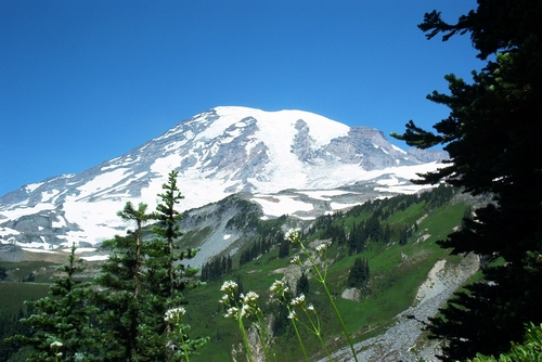 Snow capped Mount Rainier from Paradise.