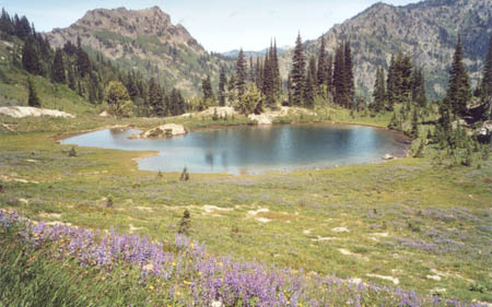 Pot hole just south of Chinook Pass before Dewey Lake.