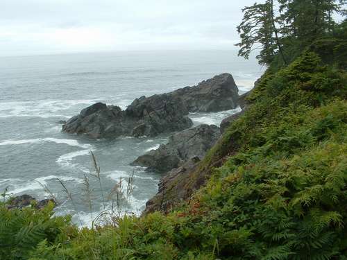 When there was no room to walk on the beach the trail headed in the woods!