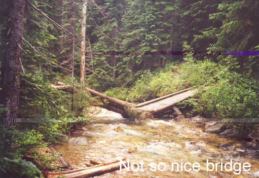 Not so nice a bridge across Golden Creek.
