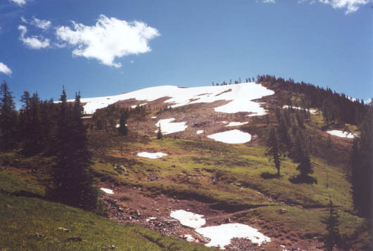 Trail through snow.
