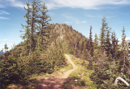 Trail down center of ridge.