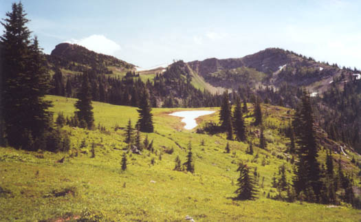 View from Spring Camp.