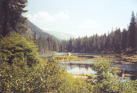 Coon Lake