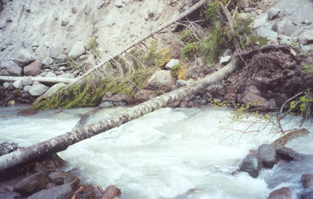 I had to cross this small log which is 3 feet above the rushing creek!