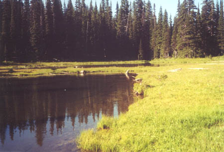 Ponds above Hen Skin Lake.