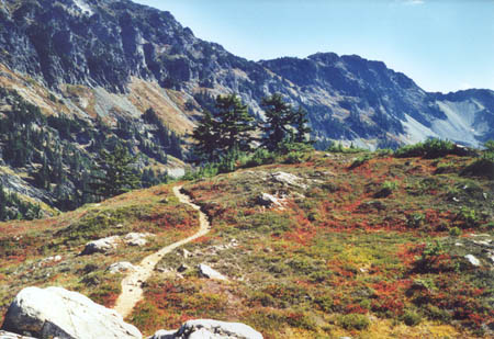 View of the PCT.