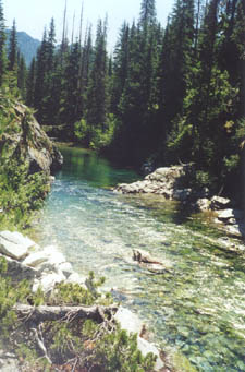 Creek on Waptus River trail.
