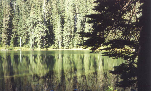 Deer Lake.