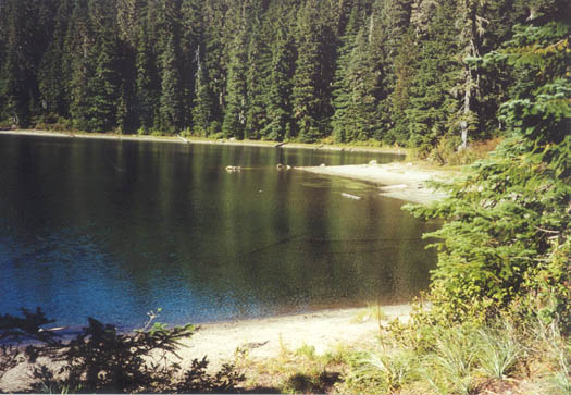 From Bear Lake camp. I was here alone Sep 11, 01 the day the World Trade Center was hit!