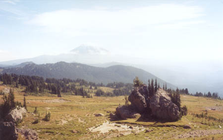 Mount Adams from 30 minutes south of Old Snowy.