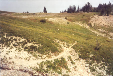 The PCT north of Old Snowy.