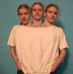 Three Headed Austin