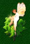 Cottage of D'Seadancer