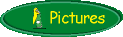 Pictures