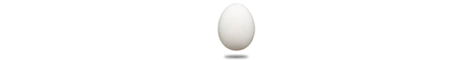 Newegg.com