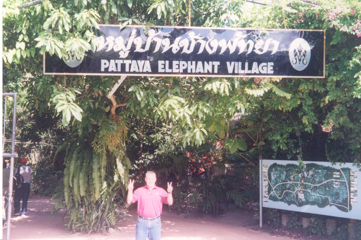 elephant trekking