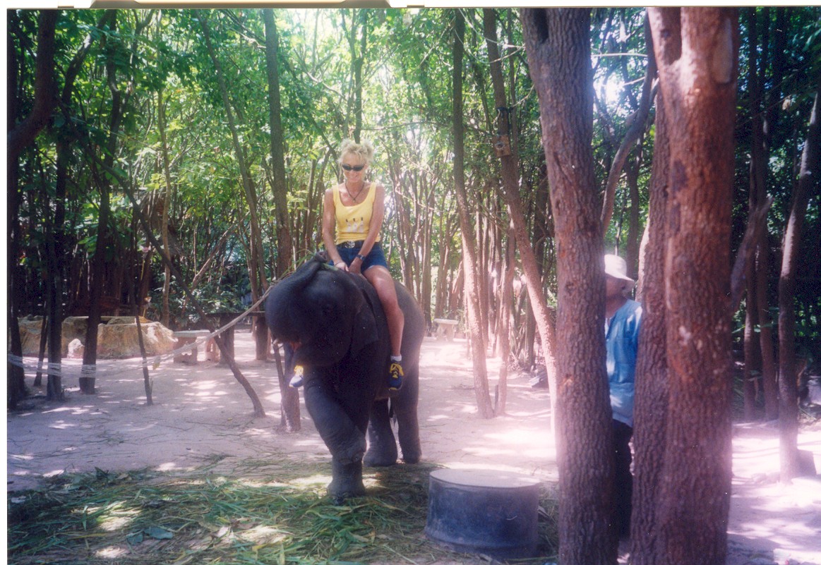 baby elephant bowing