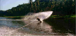 Jim Hinsch water skiing on the Rio Chav�n near La Romana, Dominican Republic