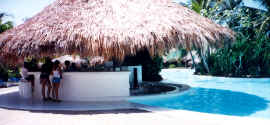 melia_paradisus_pool_swim_up_bar.jpg (350319 bytes)