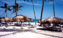 more_of_the_beach1.jpg (86598 bytes)